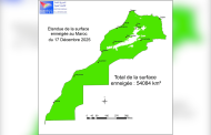 إلى غاية 17 دجنبر 2025.. المساحة الإجمالية المغطاة بالثلوج بالمغرب تبلغ 54084 كيلومتر مربع