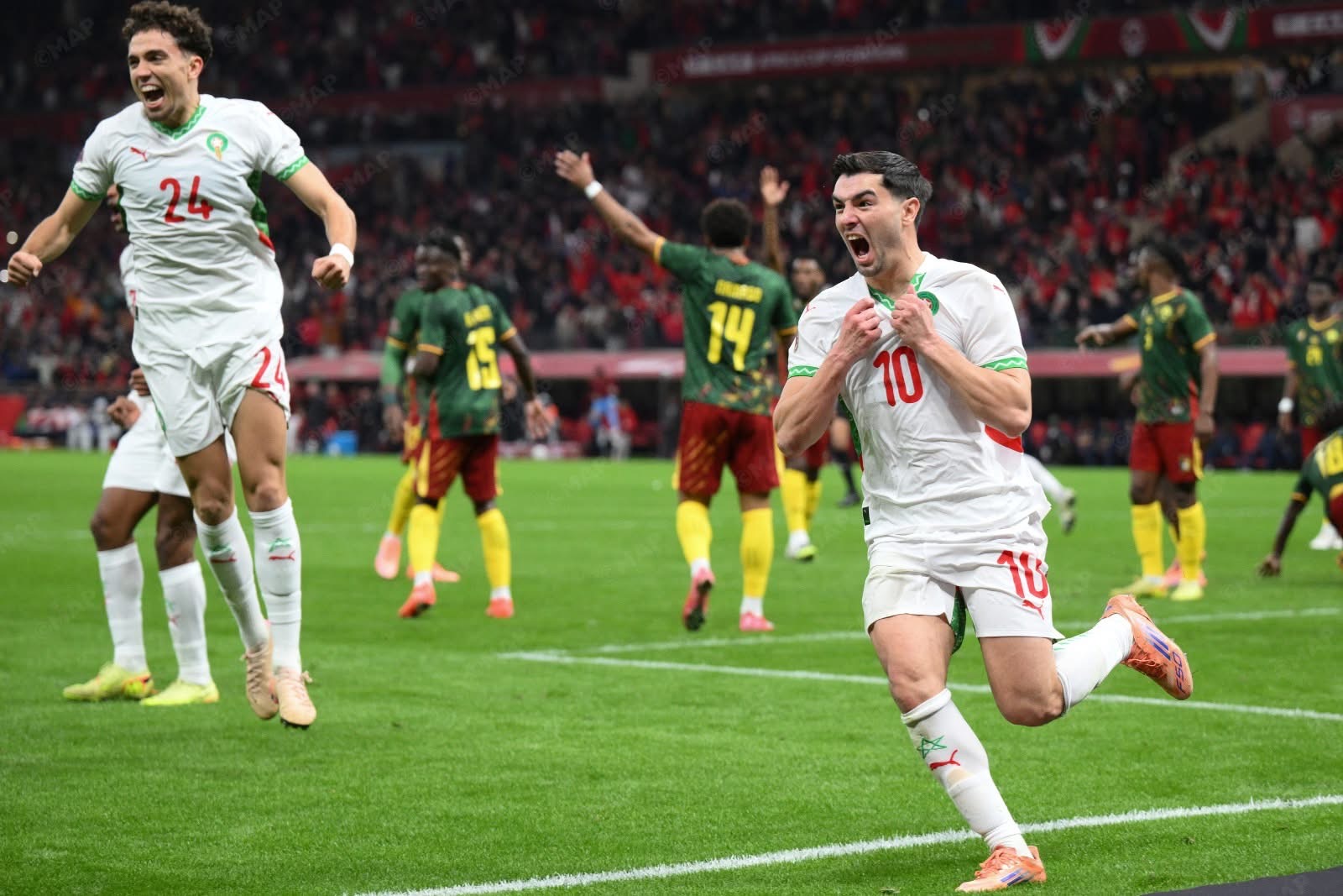 كأس أمم إفريقيا 