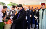 الملك محمد السادس يعطي انطلاقة عملية 