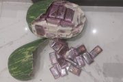 تحت غطاء فاكهة 